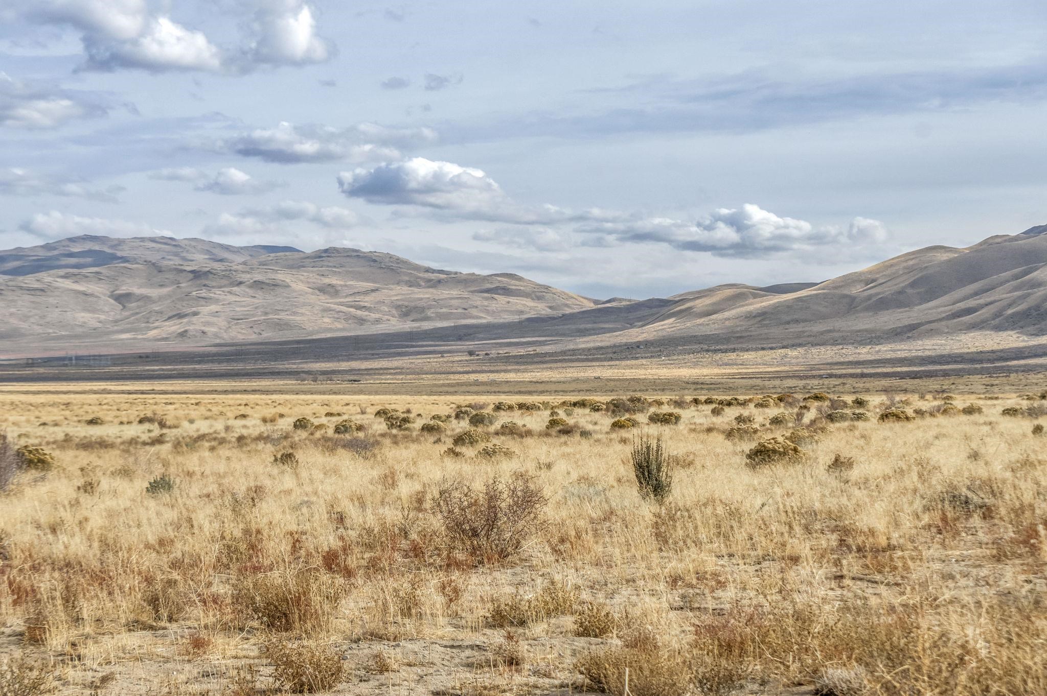 Doyle, California 96105, United States, ,Land,Active,95579