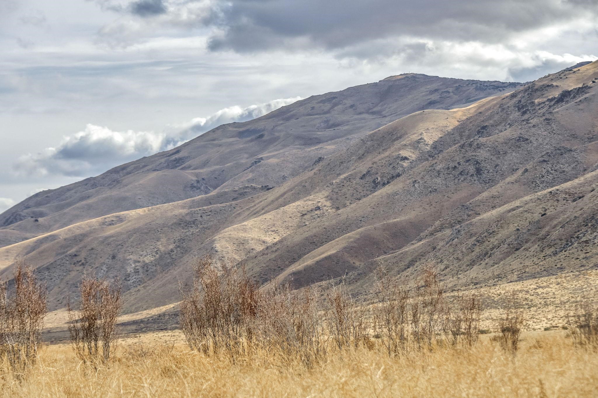 Doyle, California 96105, United States, ,Land,Active,95579