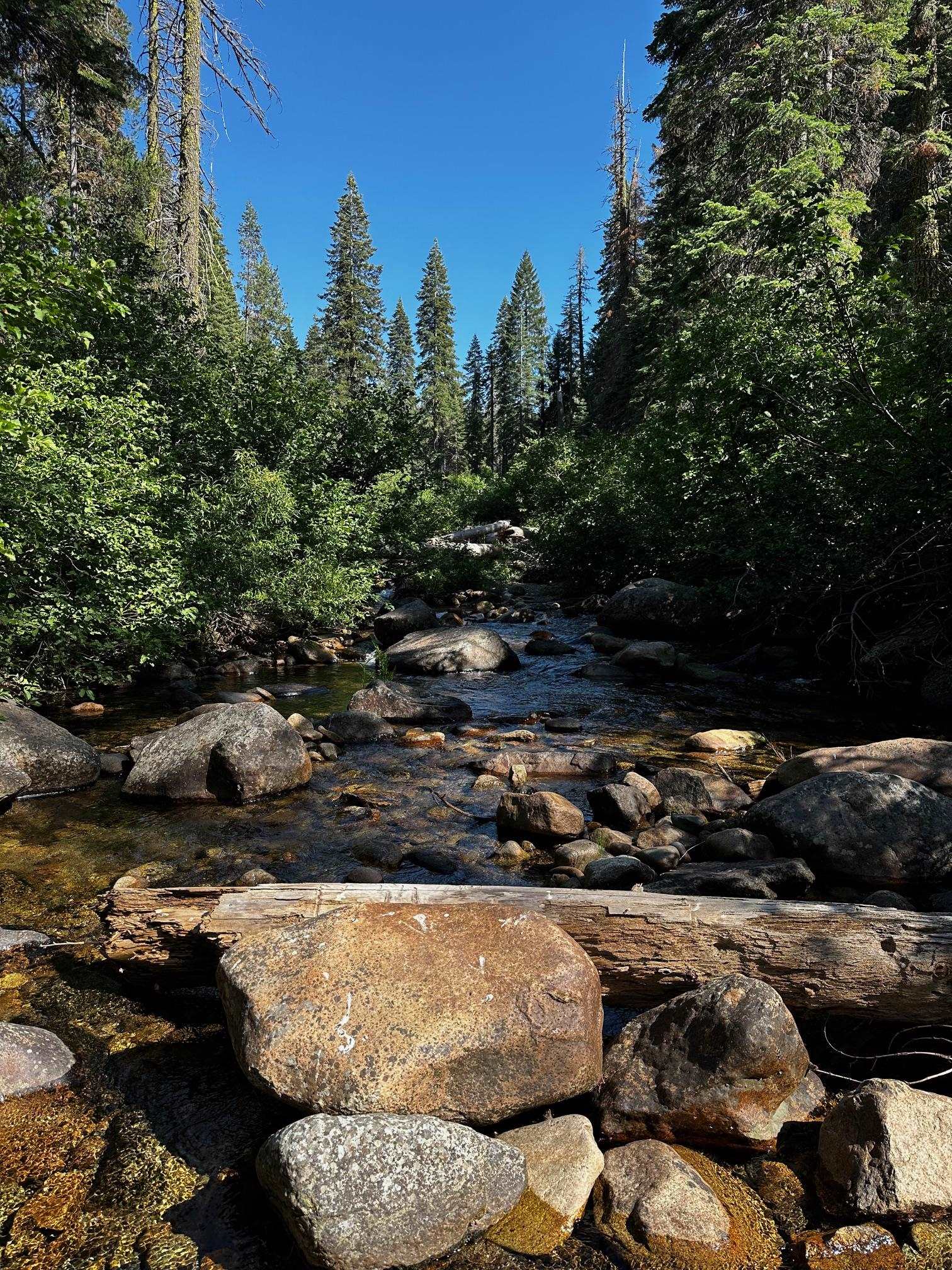 Sierra City, California 96125, United States, 2 Bedrooms Bedrooms, ,1 BathroomBathrooms,Residential,Contingent,50778