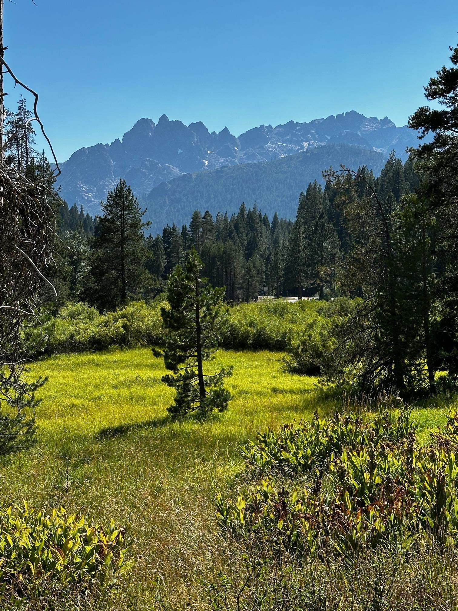 Sierra City, California 96125, United States, 2 Bedrooms Bedrooms, ,1 BathroomBathrooms,Residential,Contingent,50778