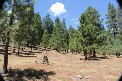 10735 Dogwood Truckee CA 96161