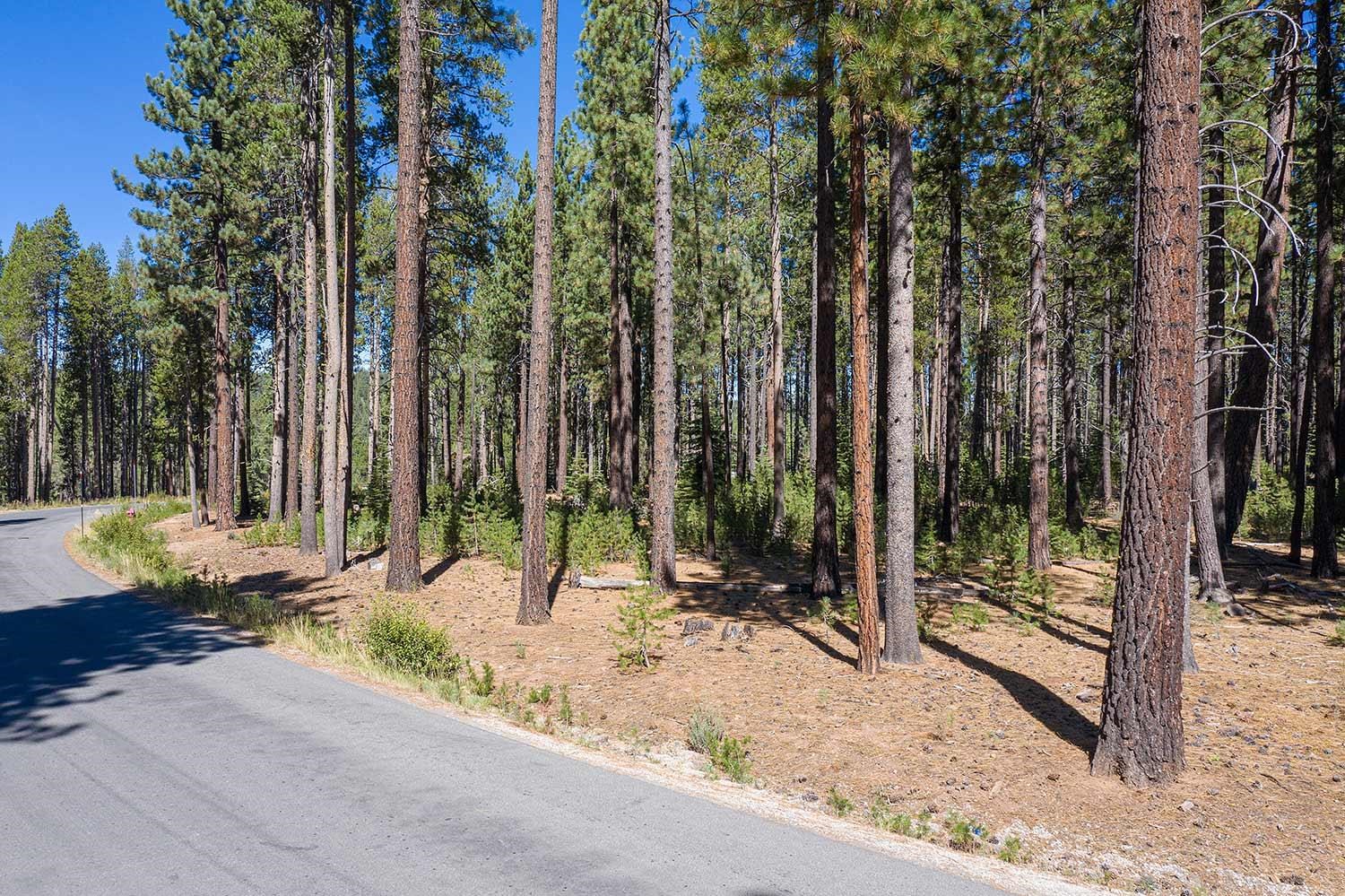 10624 & 10625 Rue Ivy