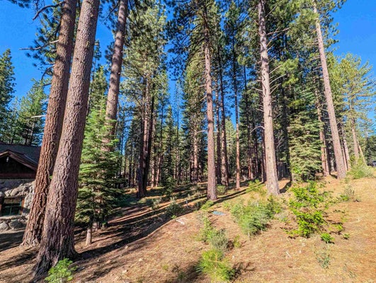 11561 BOTTCHER LOOP, TRUCKEE, CA 96161 - Image 5ec71bbb646f0201a46cd8eebfd403b7/743020518