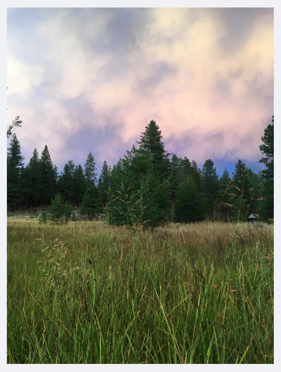 16527 Robertson Road