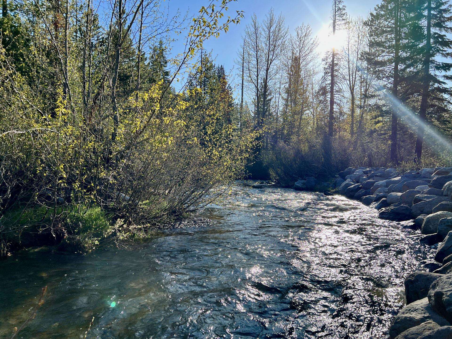 1456 Mineral Spring Trail