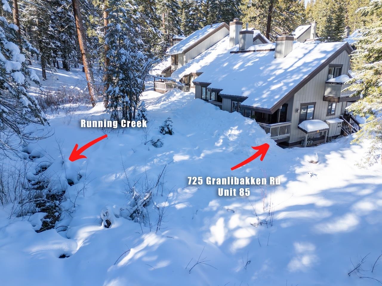 725 Granlibakken Road 85