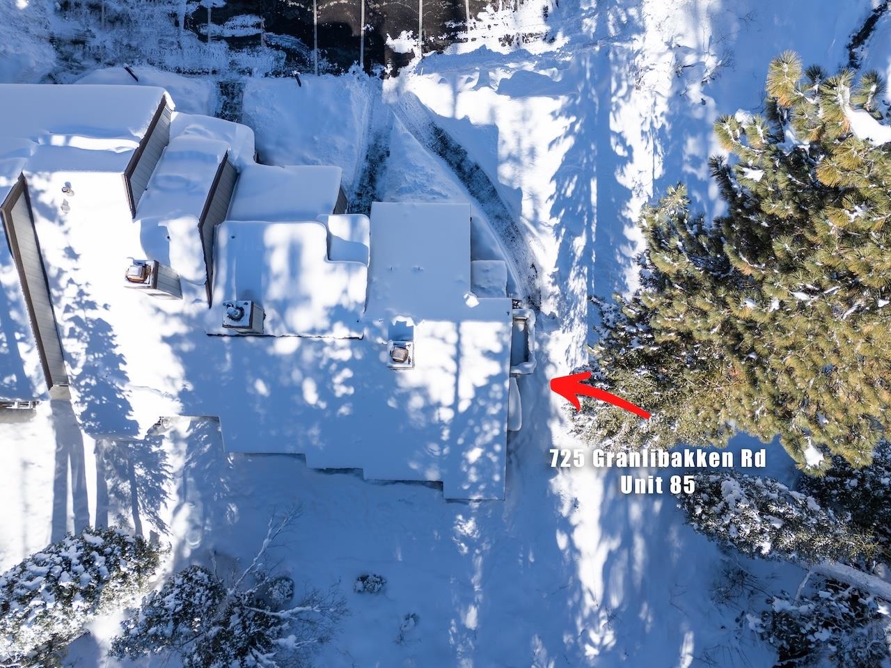 725 Granlibakken Road 85