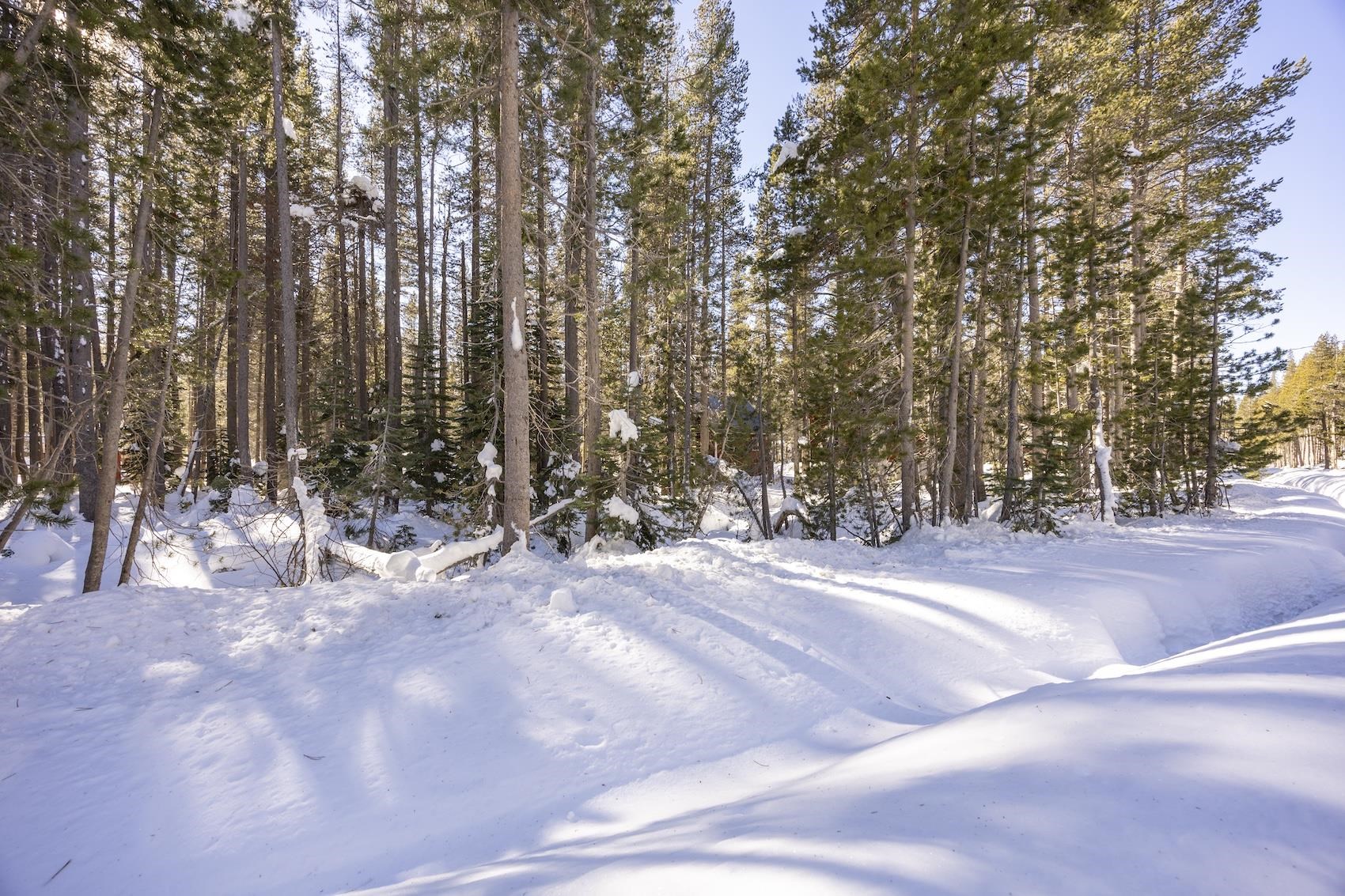 21863 Lotta Crabtree