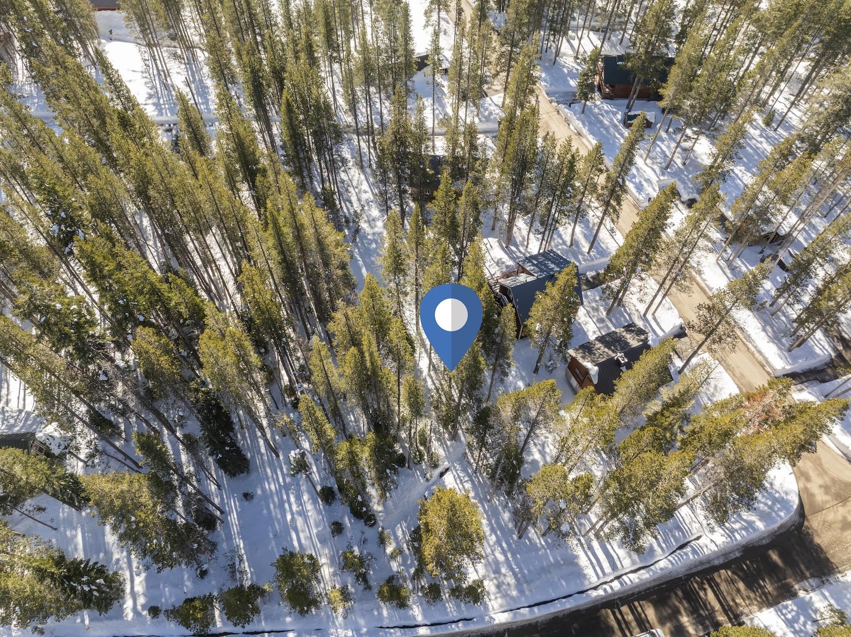 21863 Lotta Crabtree