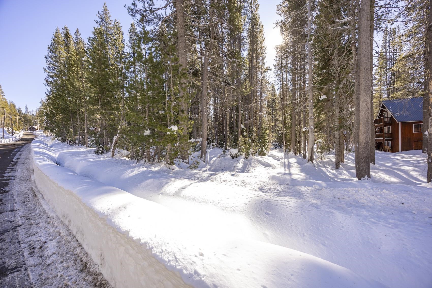 21863 Lotta Crabtree