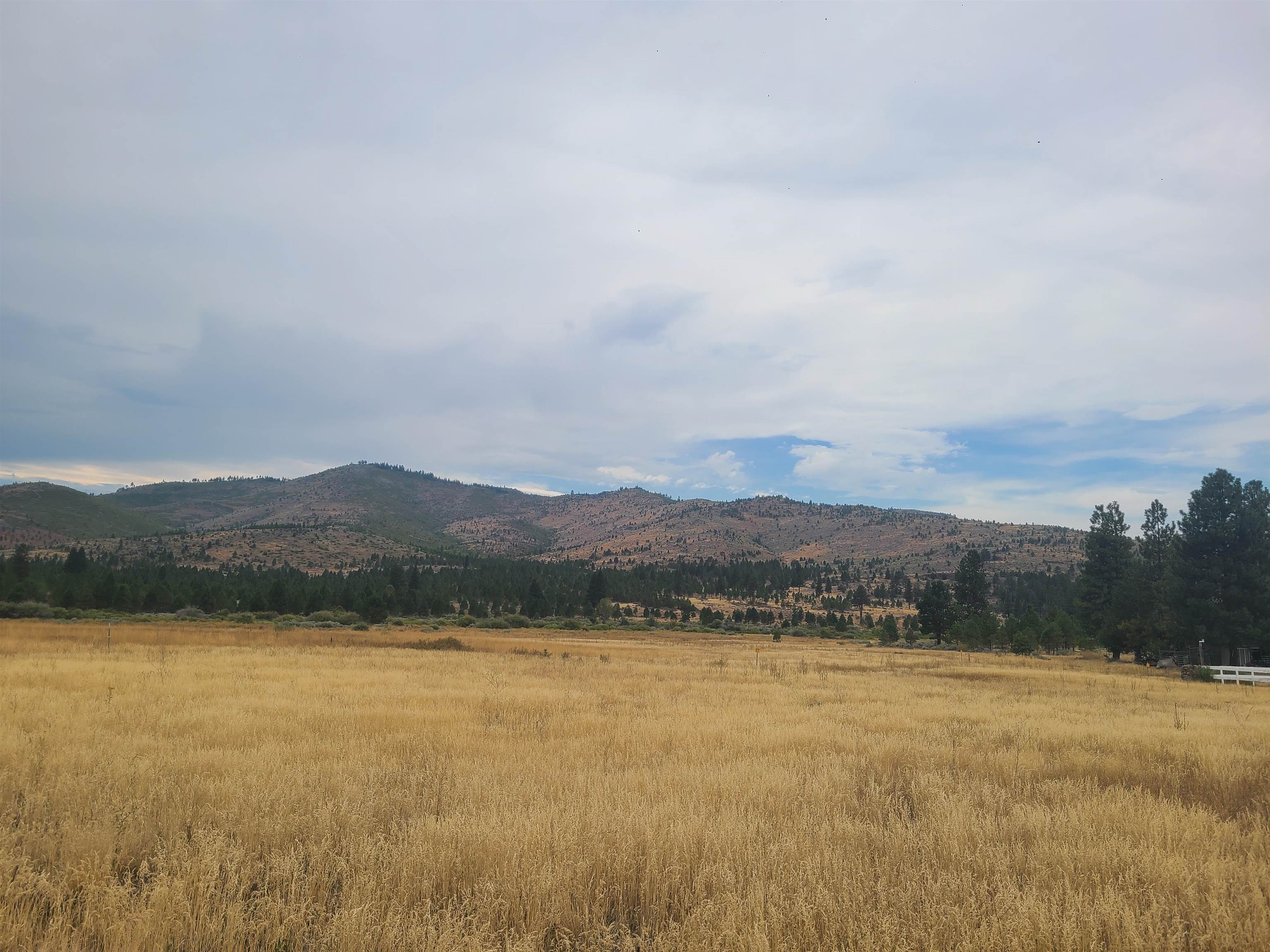 976 Sierra Brooks Drive