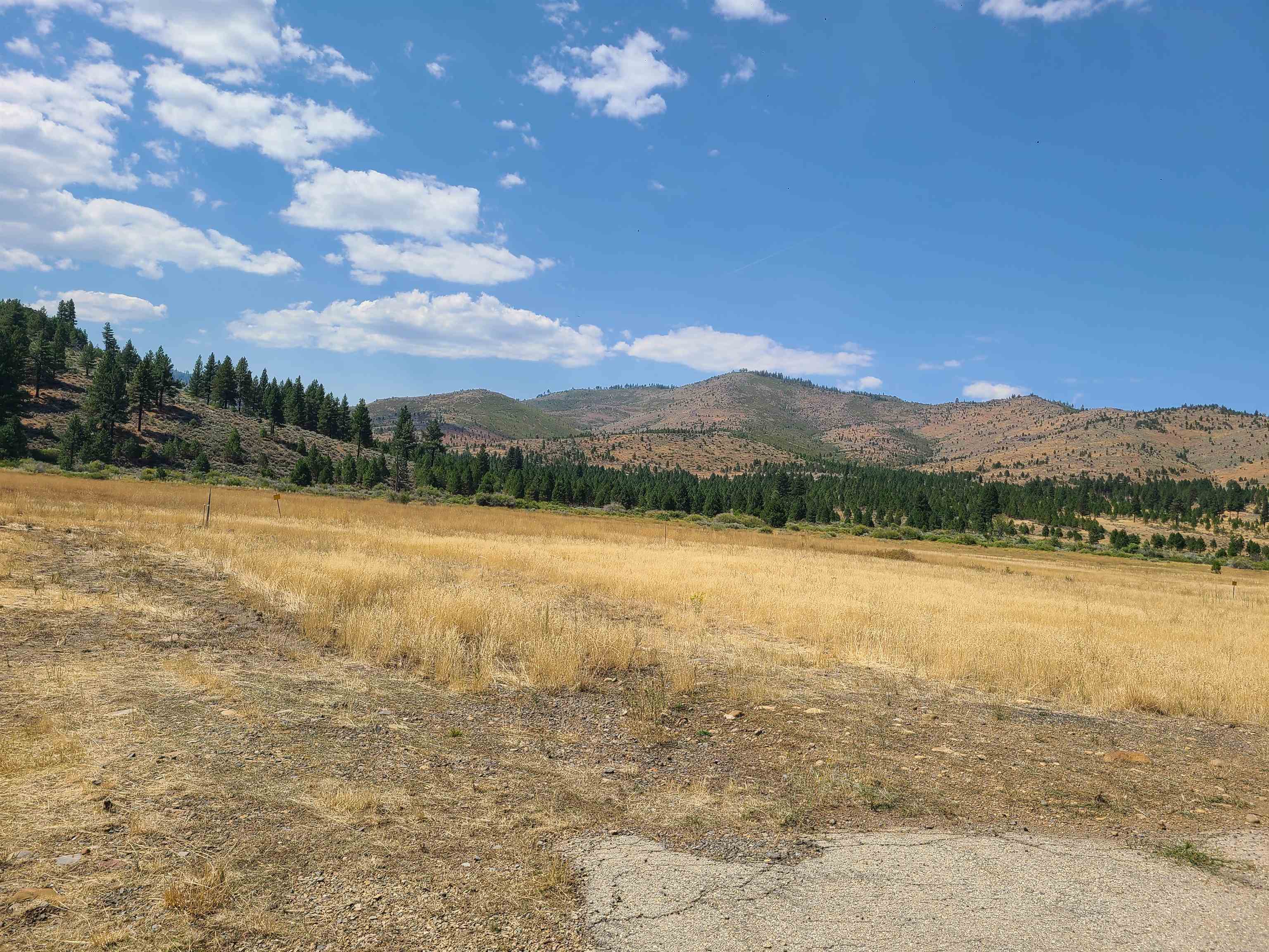 976 Sierra Brooks Drive