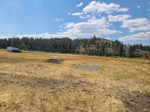 976 Sierra Brooks Drive Loyalton CA 96118