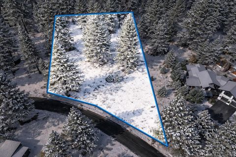 11670 Bottcher Loop Truckee CA 96161