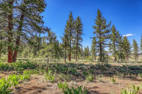 7455 Lahontan Drive Truckee CA 96161