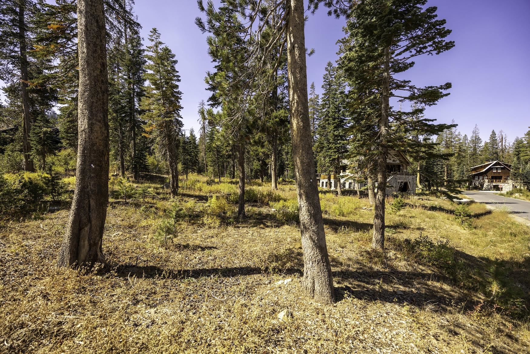 640 Mule Ears Drive
