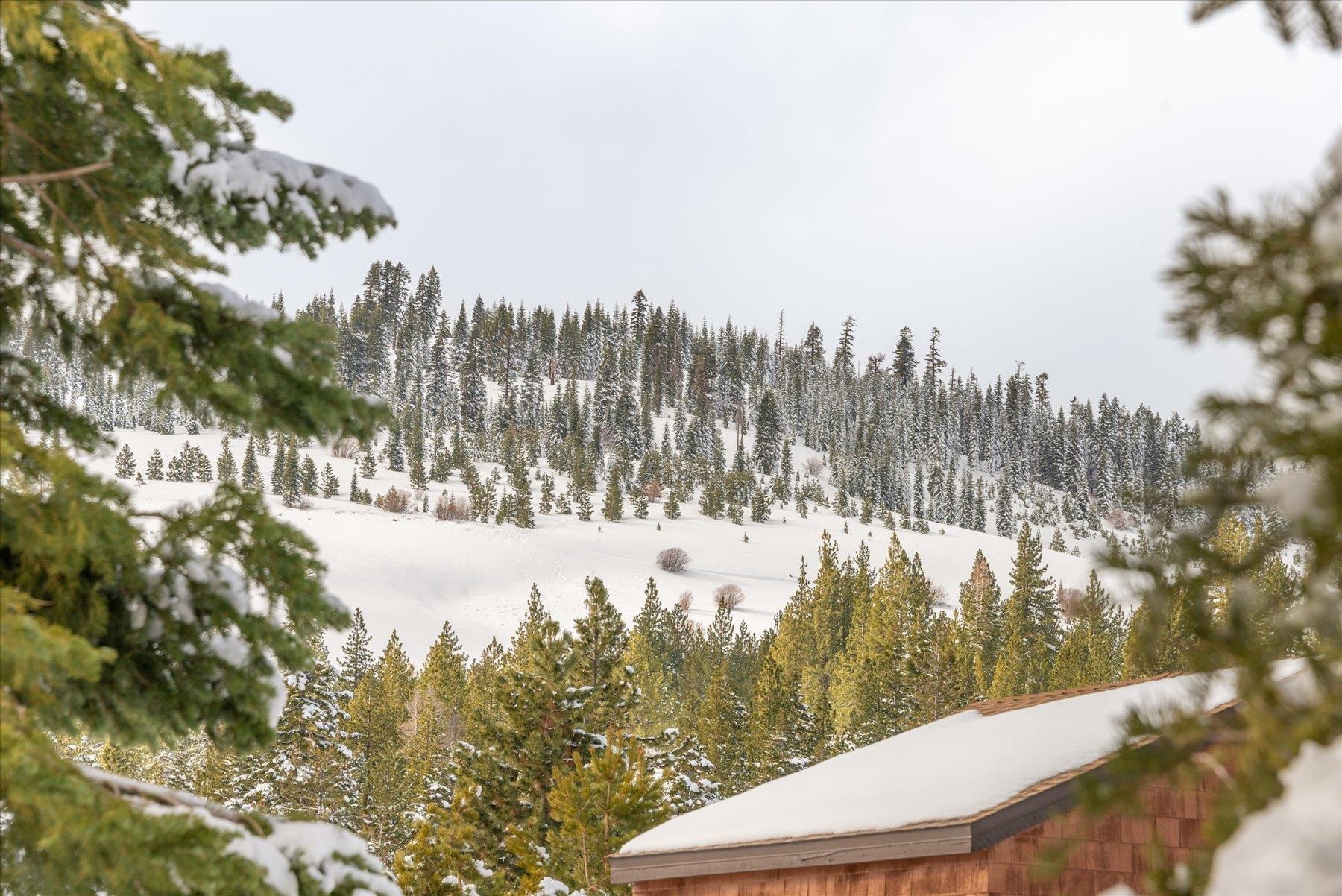 11723 Snowpeak Way 570