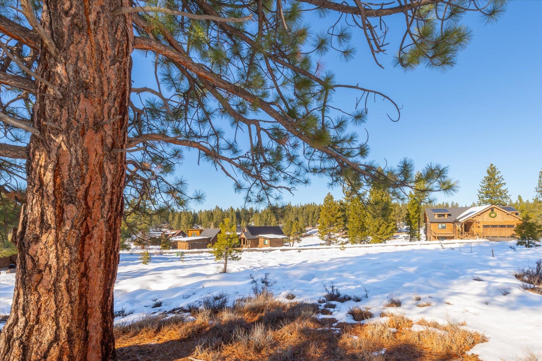 10643 Winchester Court