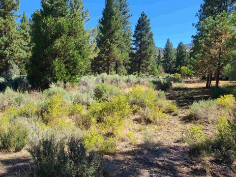 598 Longhorn Drive Loyalton CA 96118