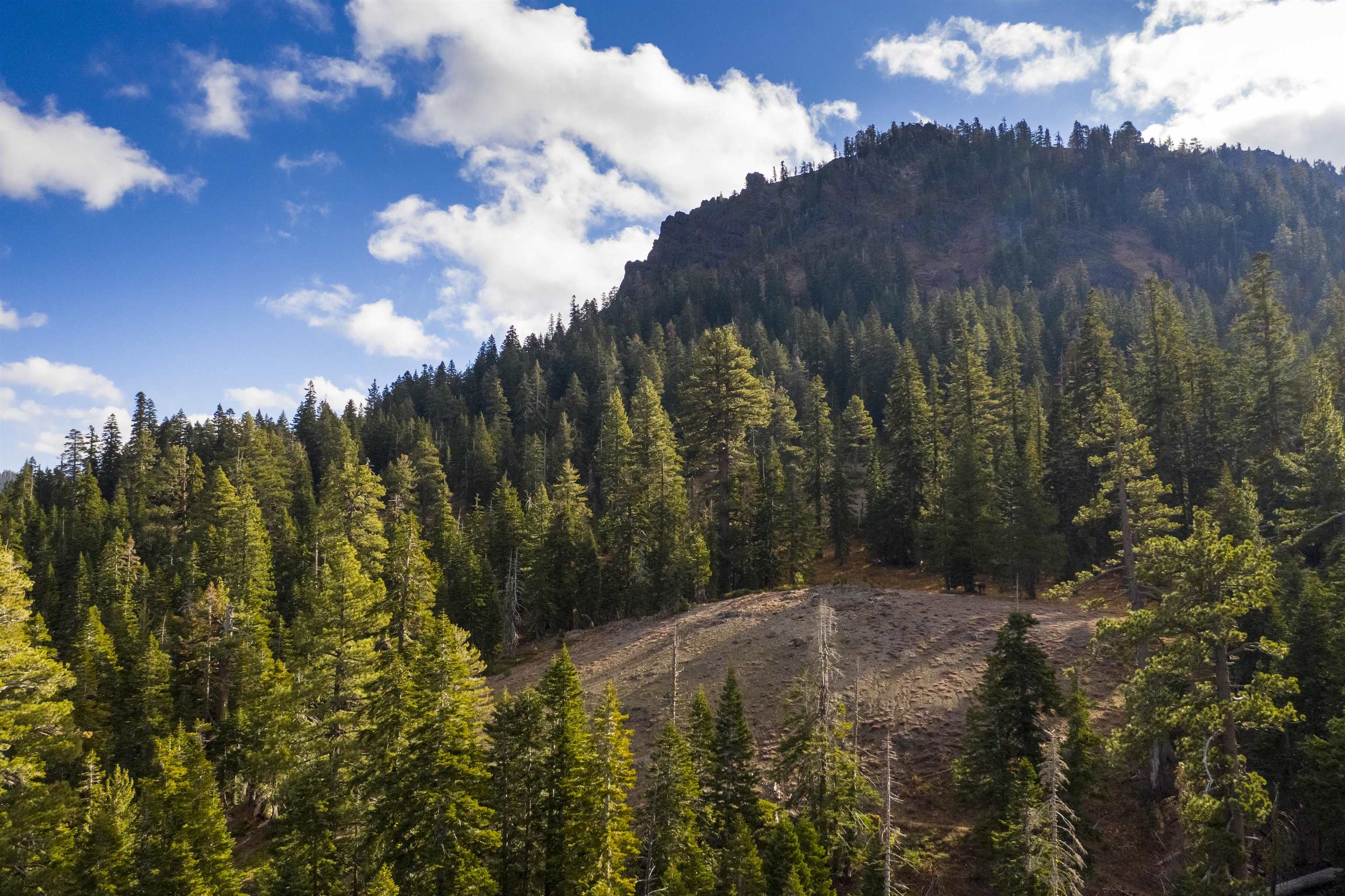 xxxxx Alpine Meadows Road