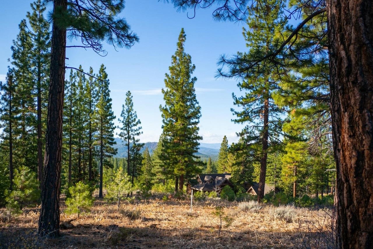 462 Grizzly Ranch Road