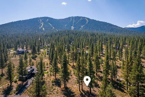 720 John McKinney Truckee CA 96161