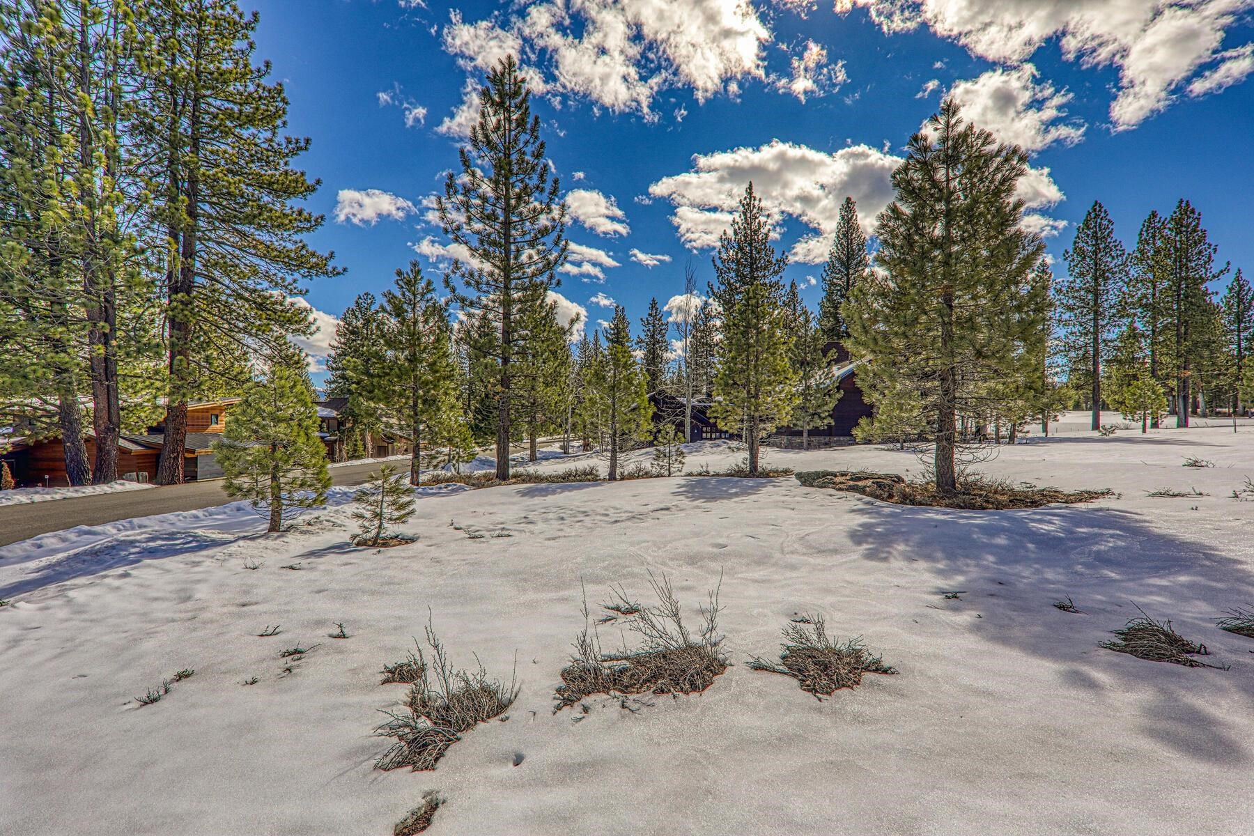 9364 Heartwood Drive