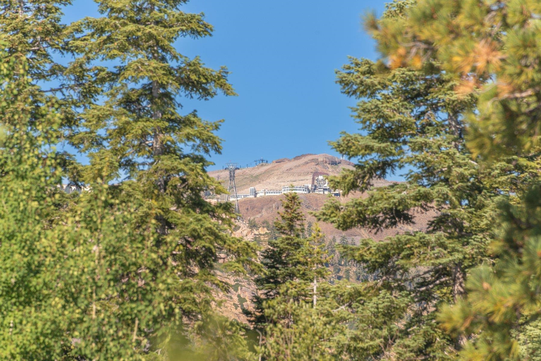 3126 Sierra Crest Court