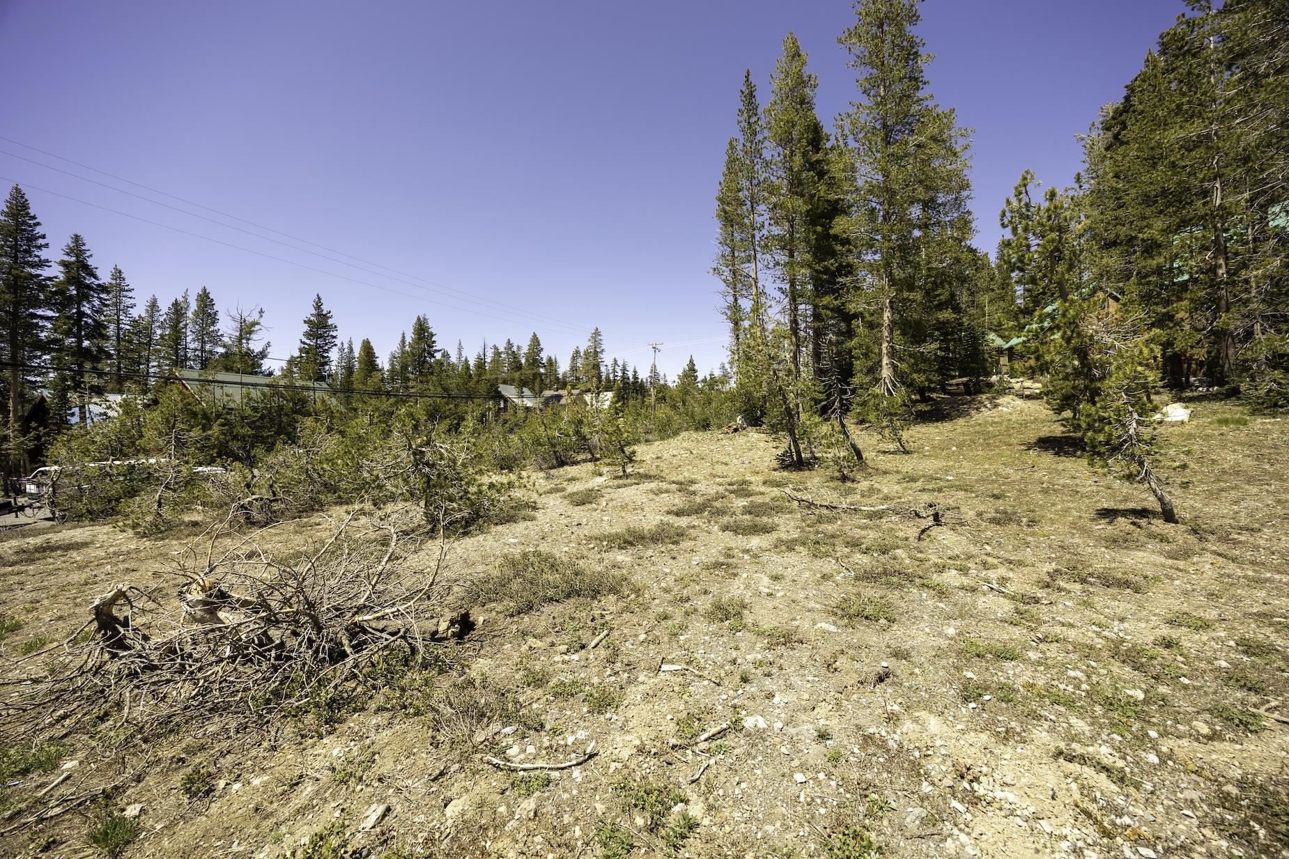 6784 Soda Springs Road