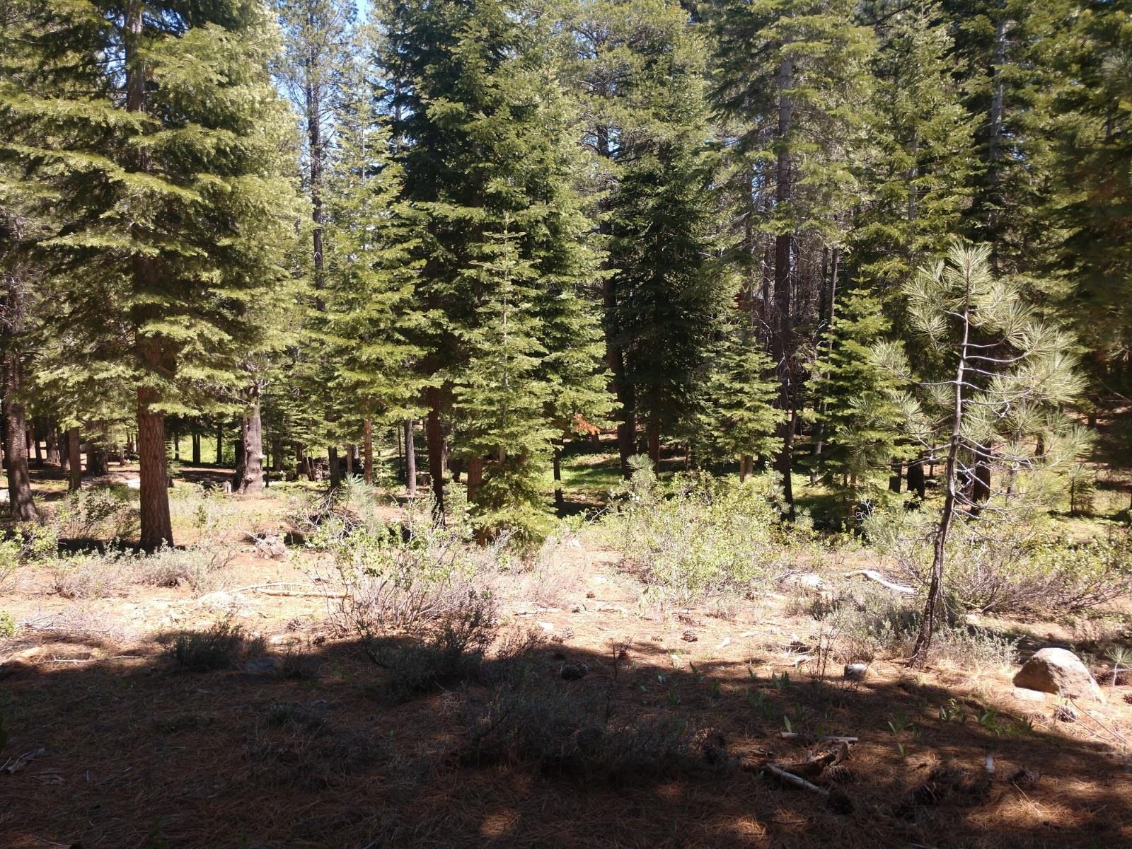 17249 Northwoods Boulevard