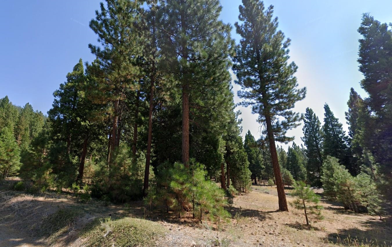 251 Peppergrass Lane