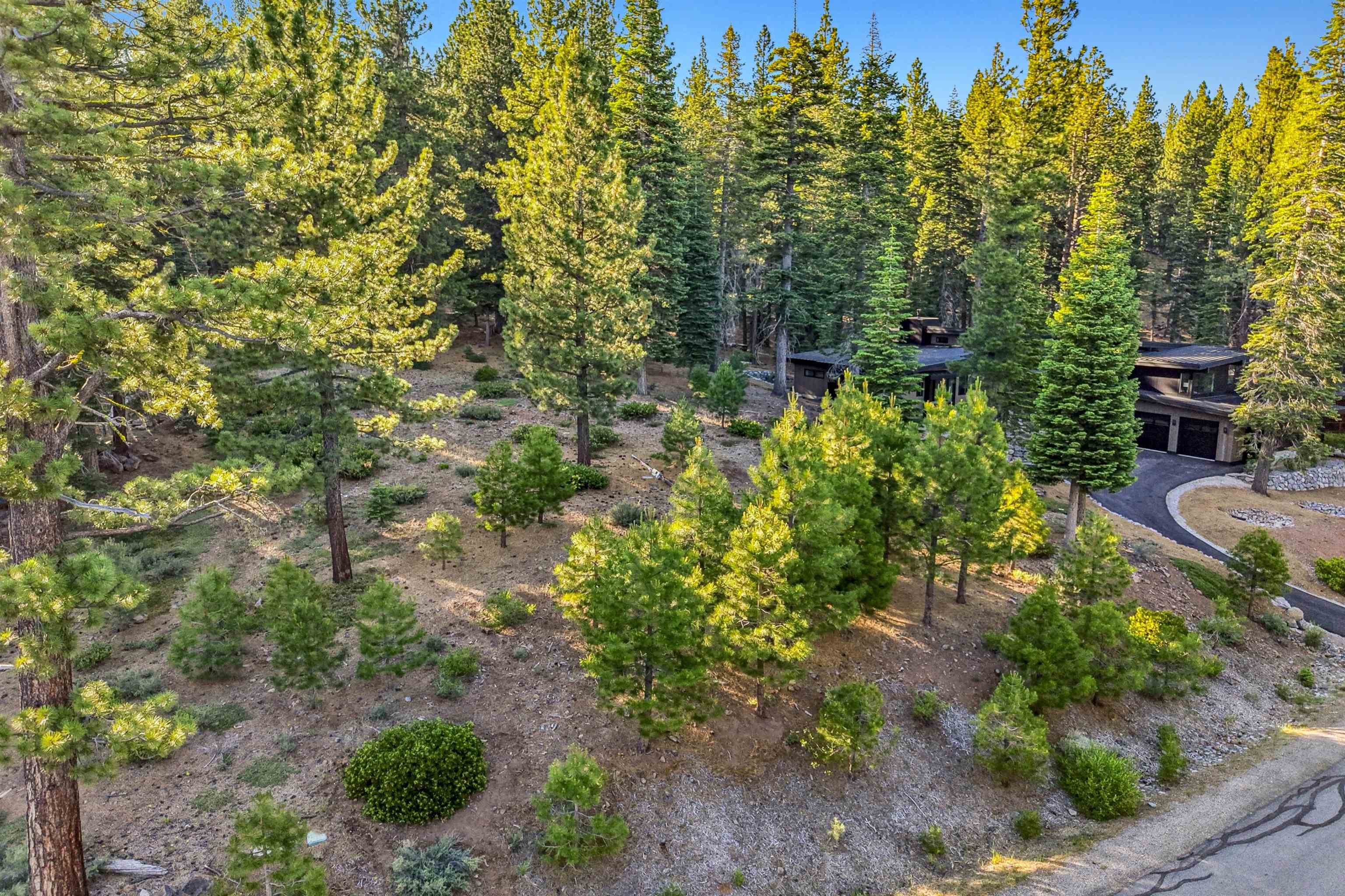 11918 Saddleback Drive