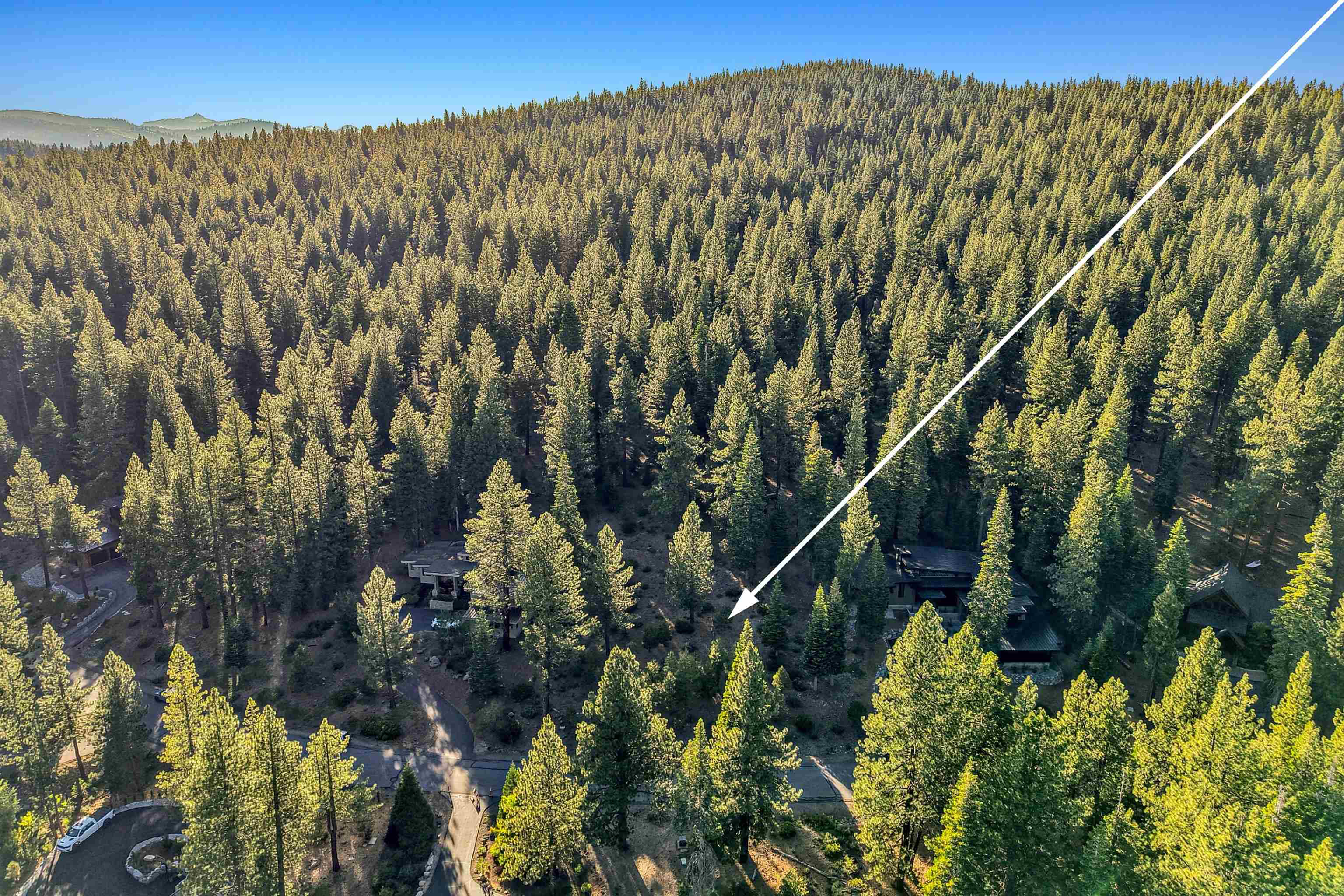 11918 Saddleback Drive