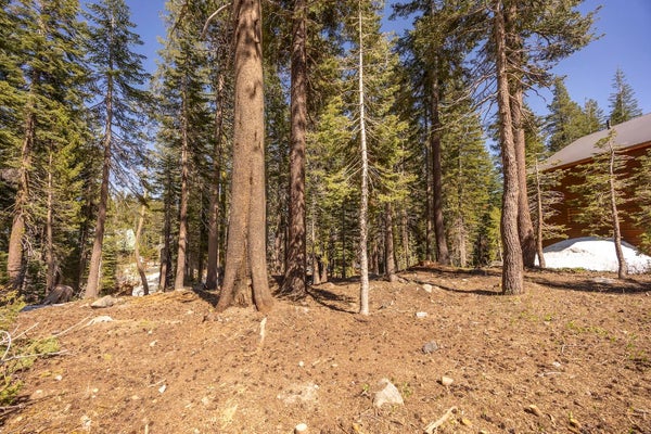 3216 SLUMBER WAY, SODA SPRINGS, CA 95728 - Image c8cf982c89b6ce8cd14397db2e66f558/1172498253