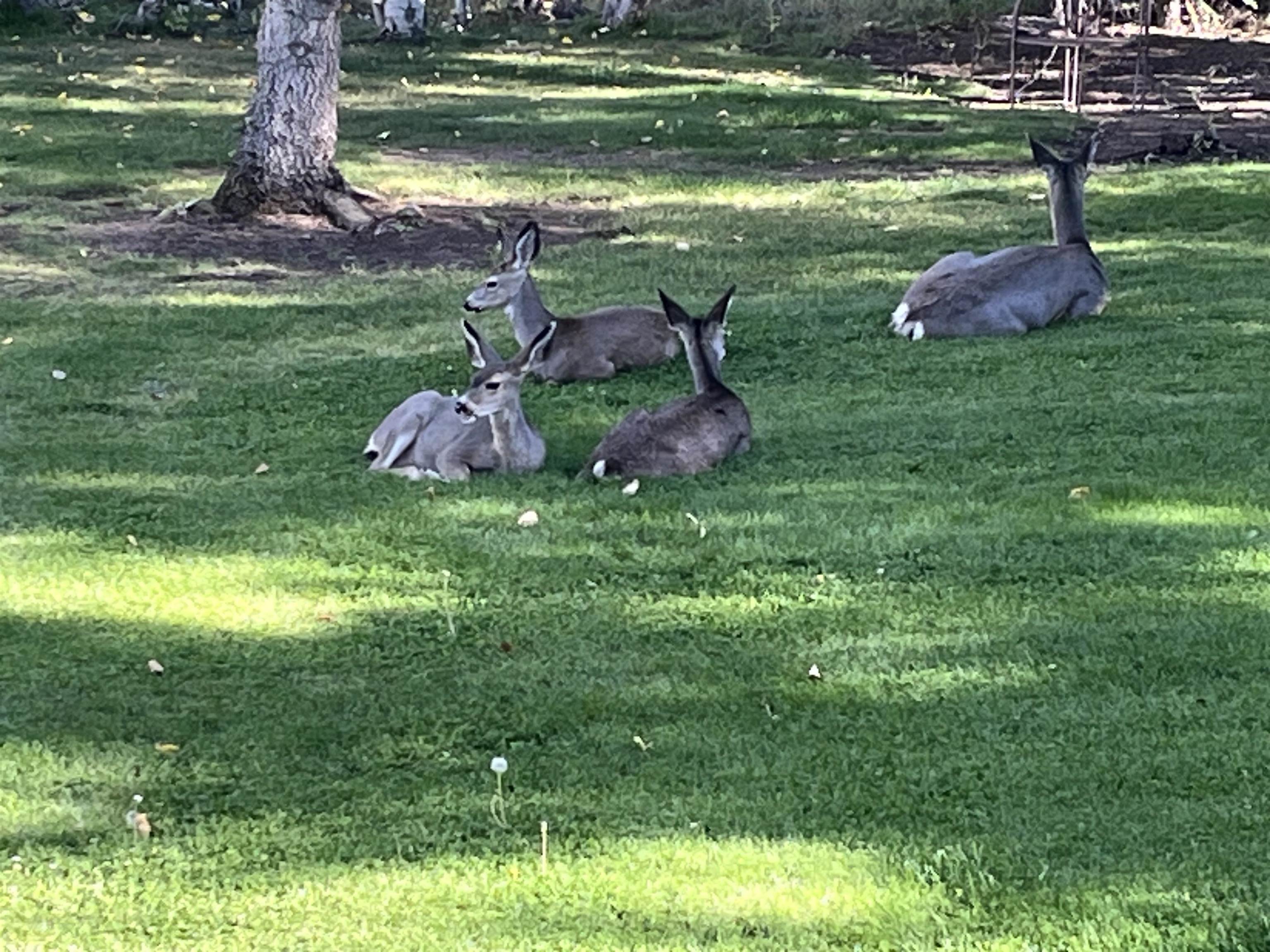 15318 Glenshire Drive