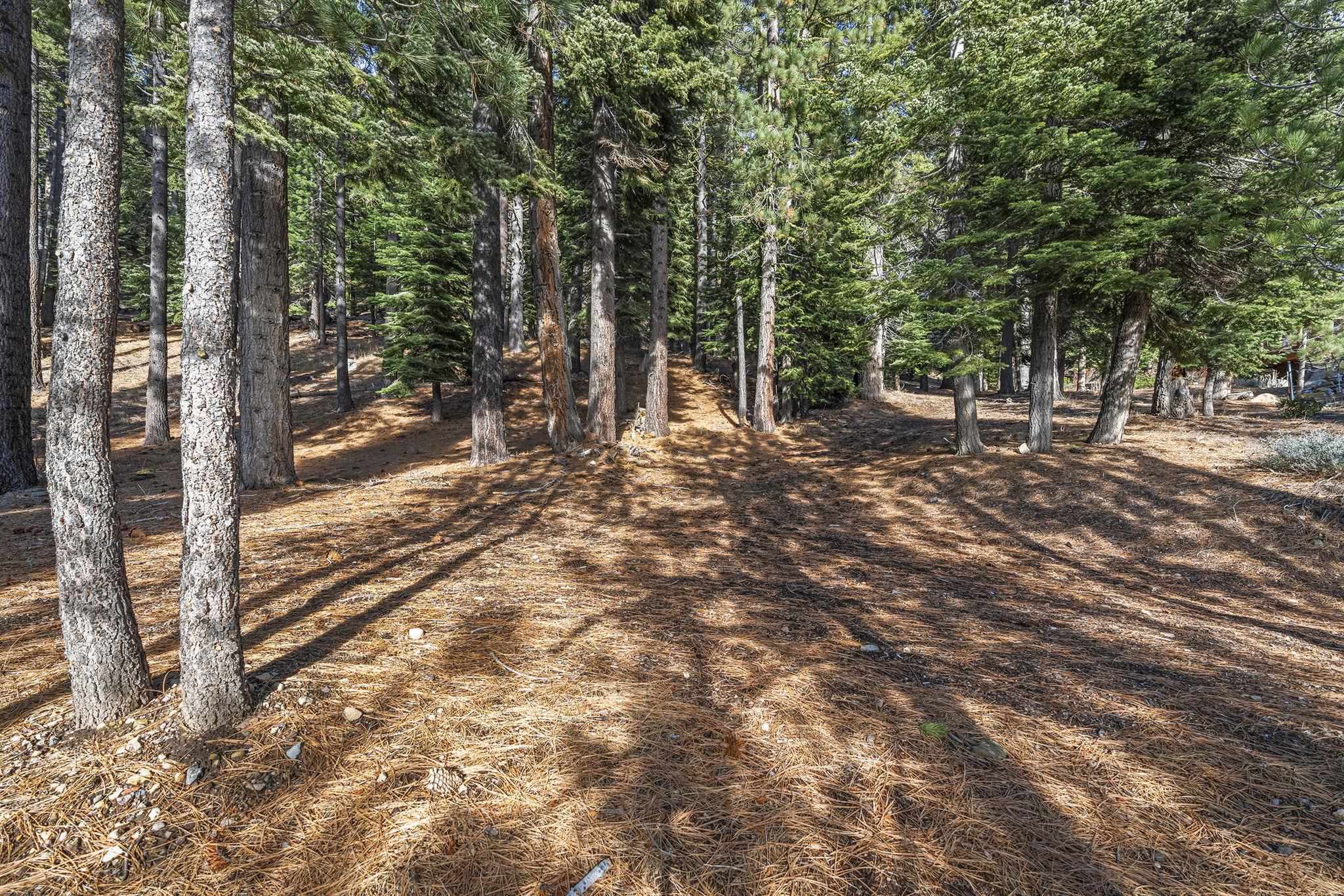 202 Hidden Lake Loop