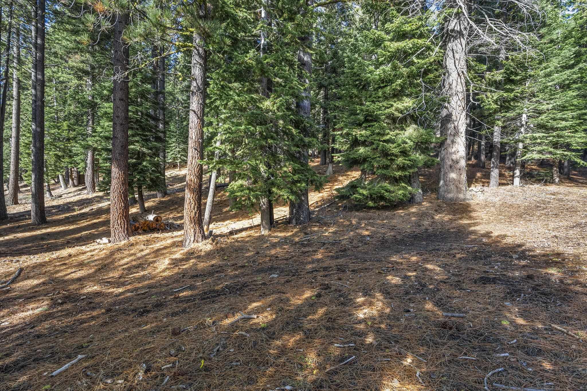 202 Hidden Lake Loop