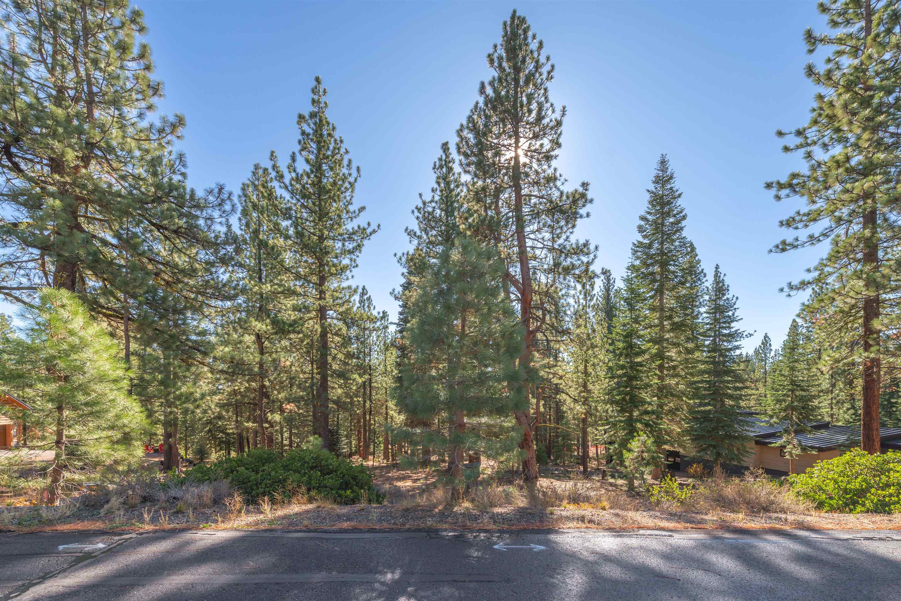 11925 Saddleback Drive