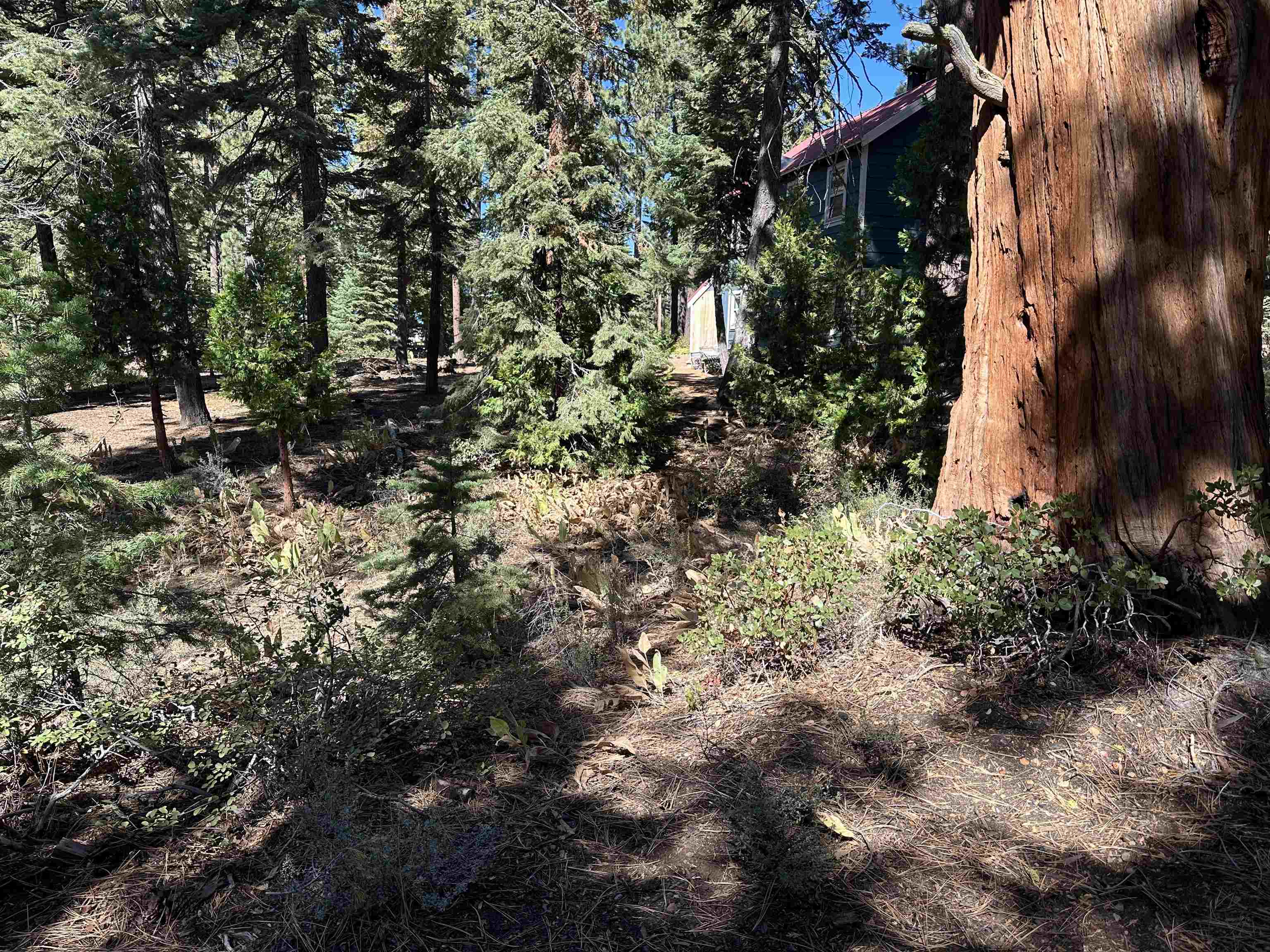 Lot 9 Lake Terrace Avenue