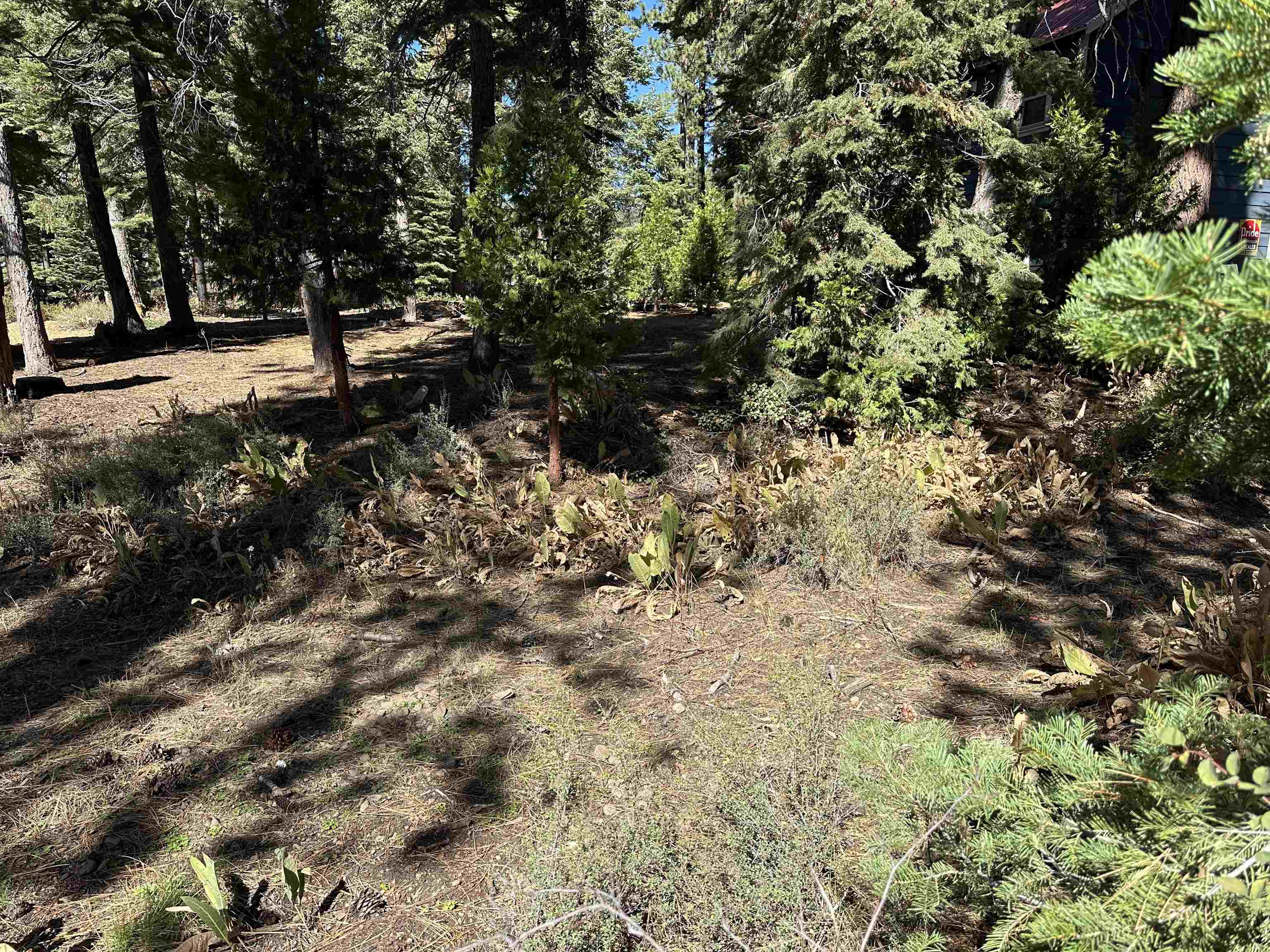 Lot 9 Lake Terrace Avenue