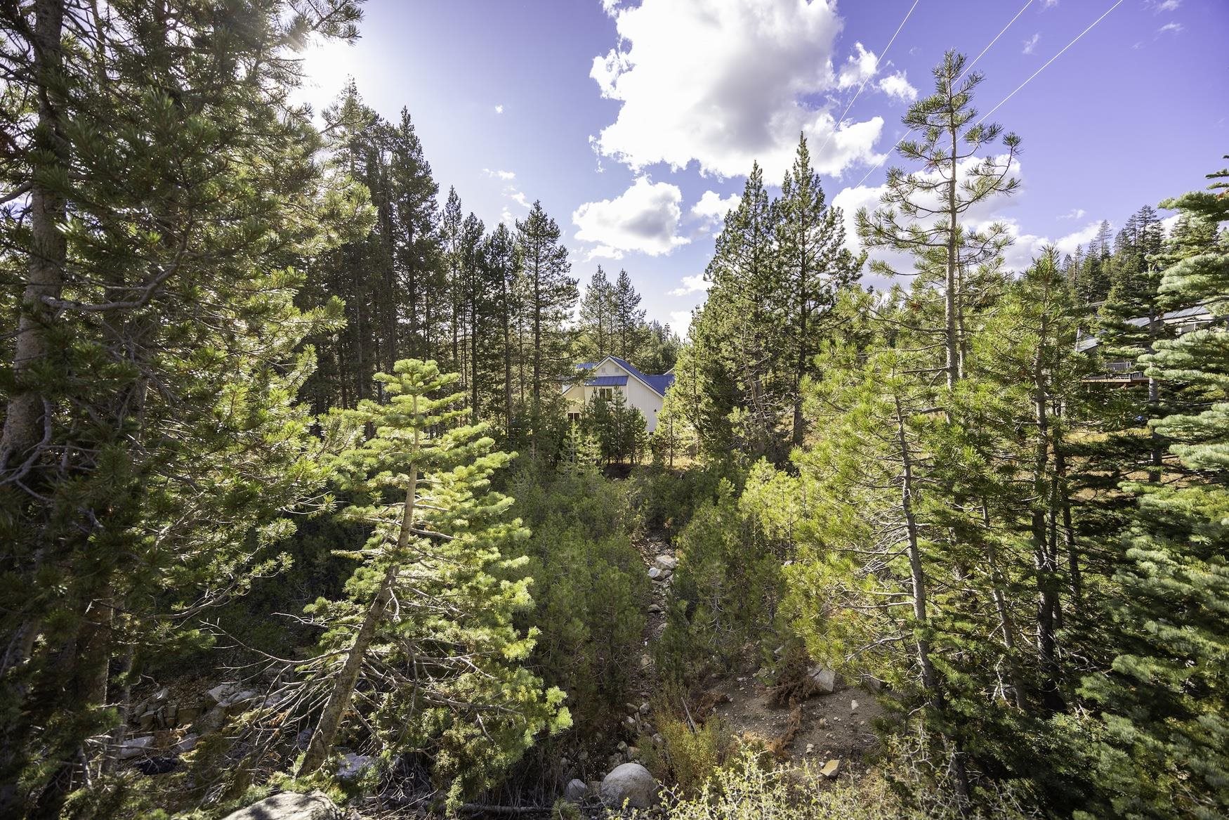 8355 Cascade Road