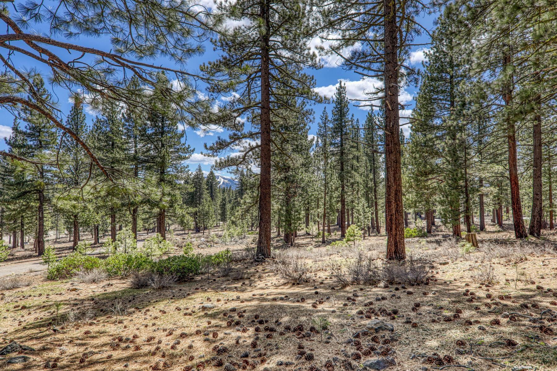 10576 Brickell Court