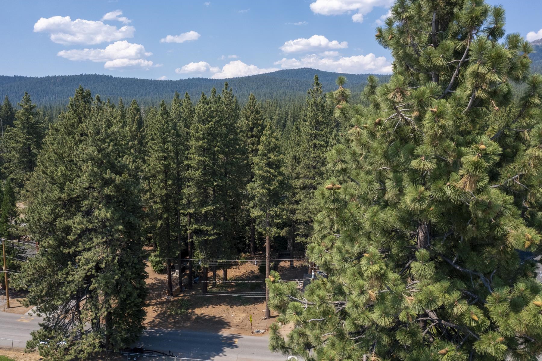 8185 Dolly Varden Avenue