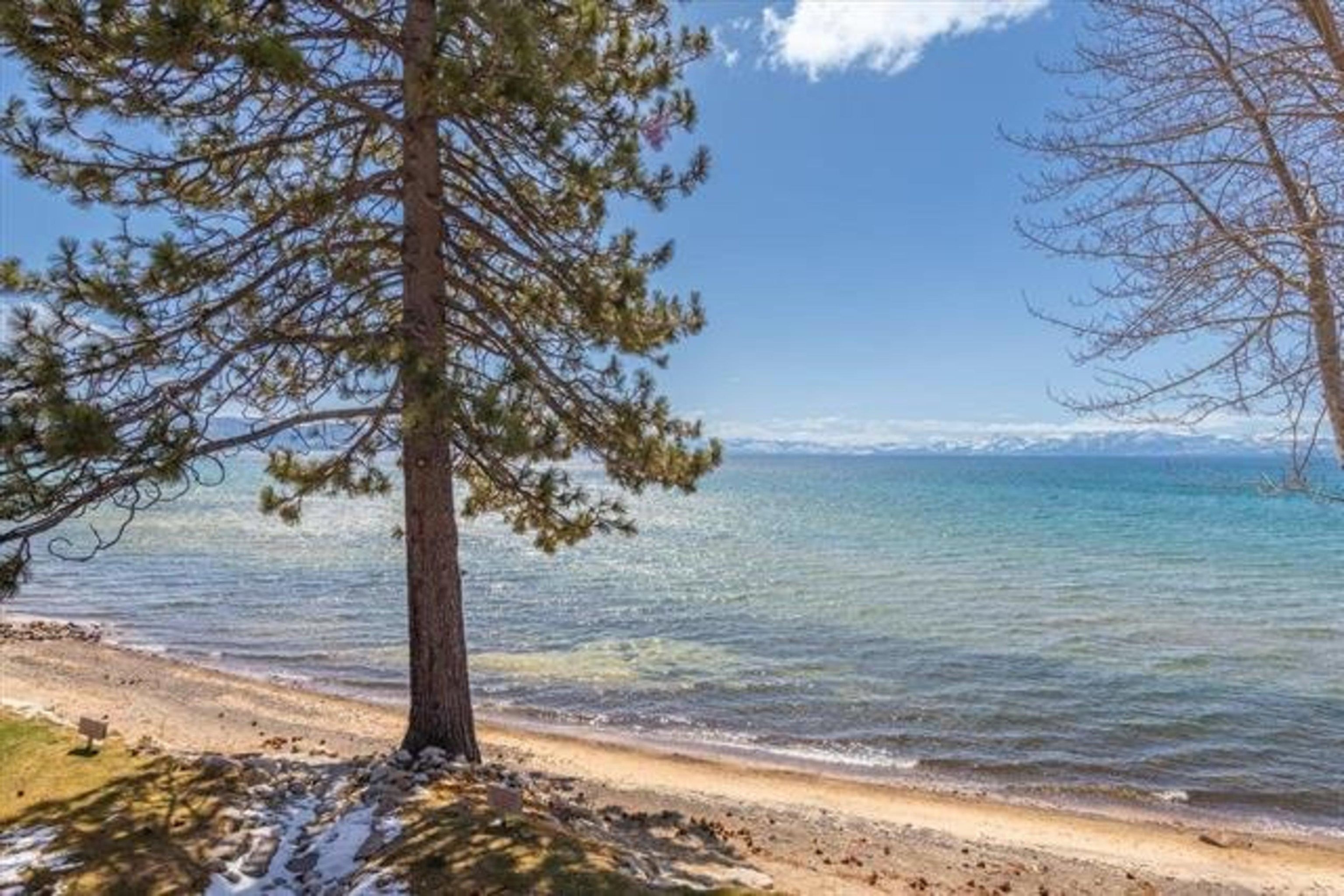 8000 North Lake Boulevard Lakefront 4