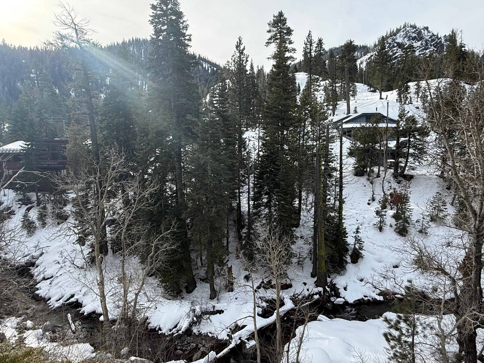 1416 Mineral Spring Trail