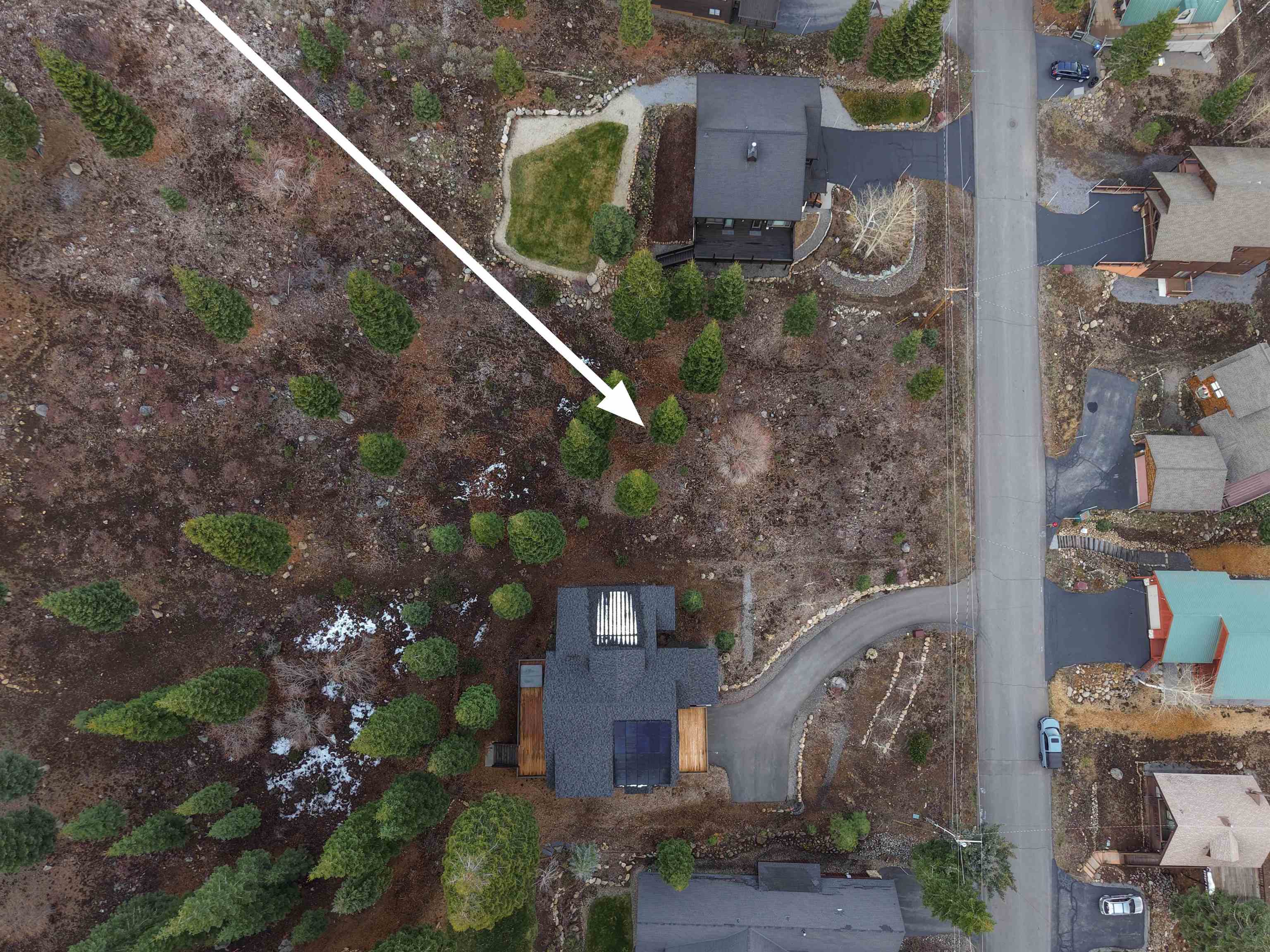 11784 Rhineland Avenue