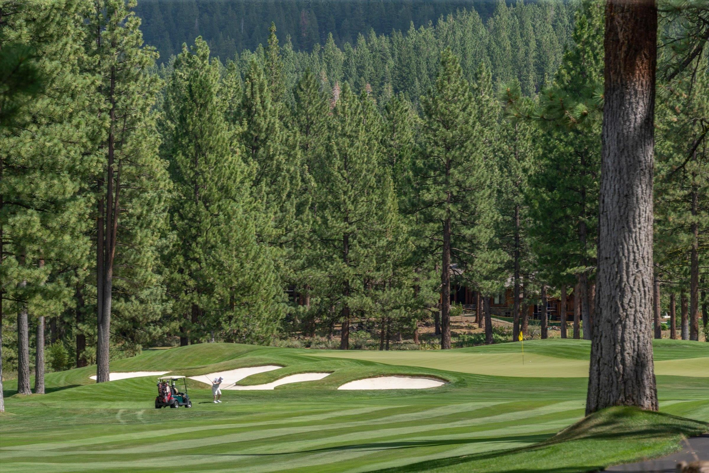 12227 Pete Alvertson Drive