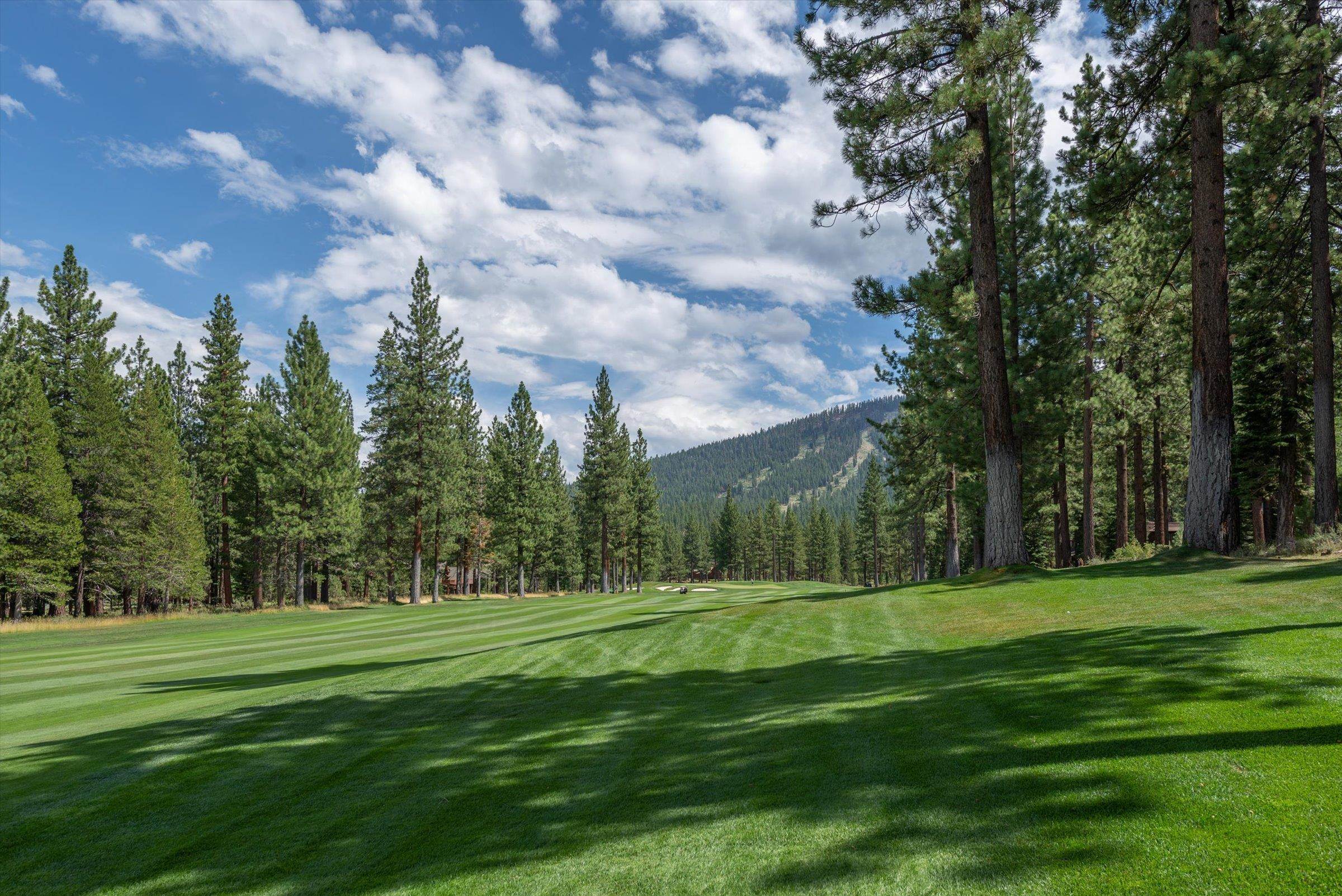 12227 Pete Alvertson Drive