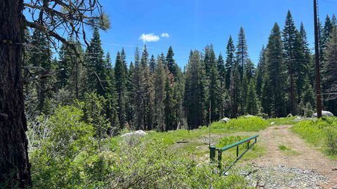 51460 Red Fir Drive Soda Springs CA 95728