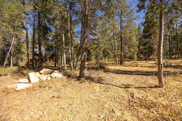 51357 DONNER PASS RD, SODA SPRINGS, CA 95728 - Image 01c76add3d25f89347ebaba06ec1e2fd/2188316330